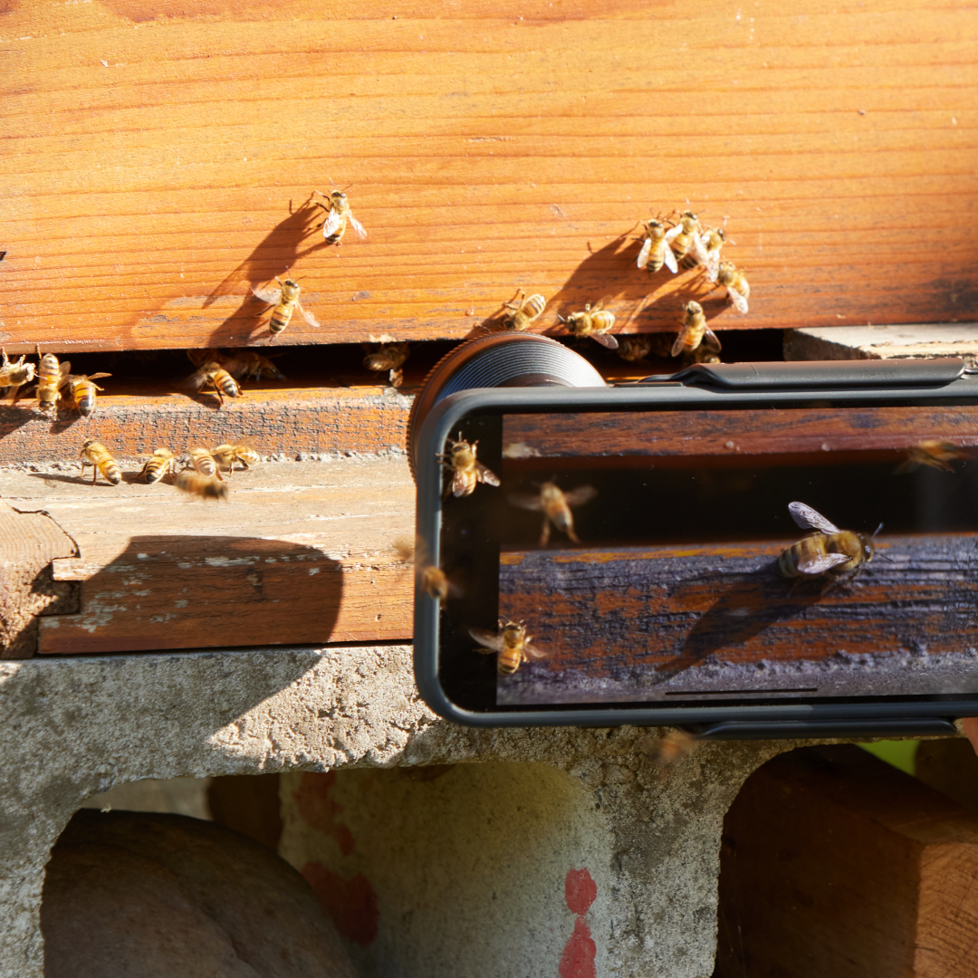 LensUltra - 75mm Long Range Macro